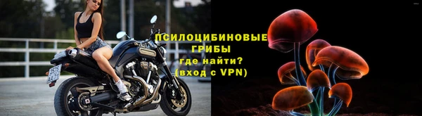 твердый Армянск