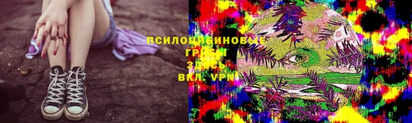 твердый Армянск
