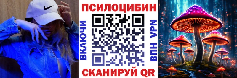 Галлюциногенные грибы Psilocybe  Собинка 